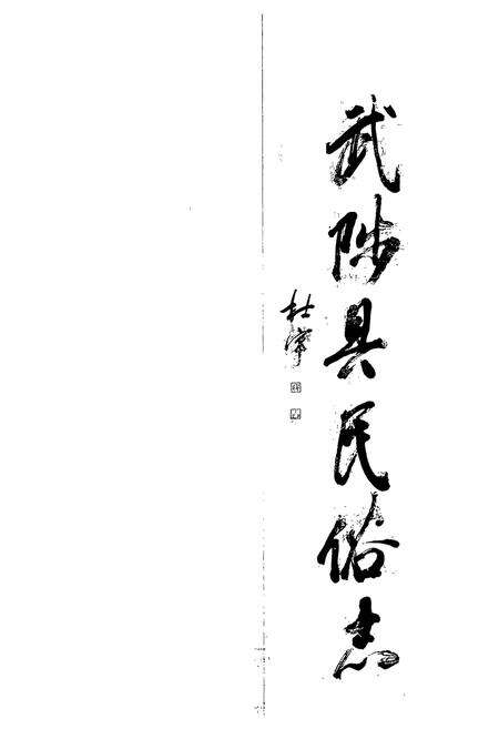 《武陟县民俗志》.pdf电子版_河南省志预览图1