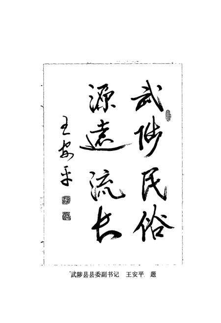 《武陟县民俗志》.pdf电子版_河南省志预览图4