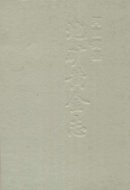 《嵩县地矿黄金志》.pdf电子版_河南省志缩略图