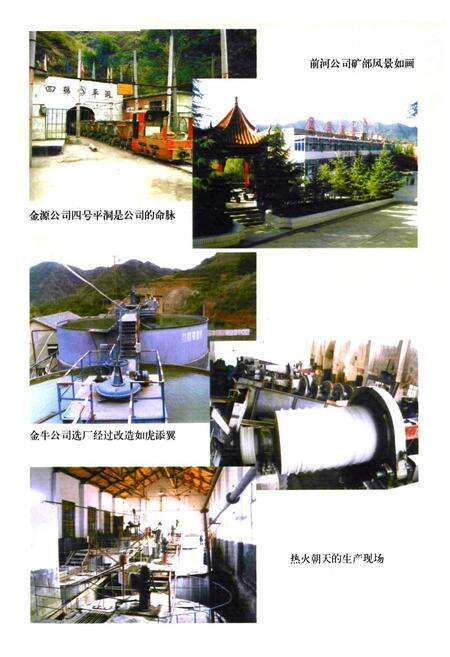 《嵩县地矿黄金志》.pdf电子版_河南省志预览图5