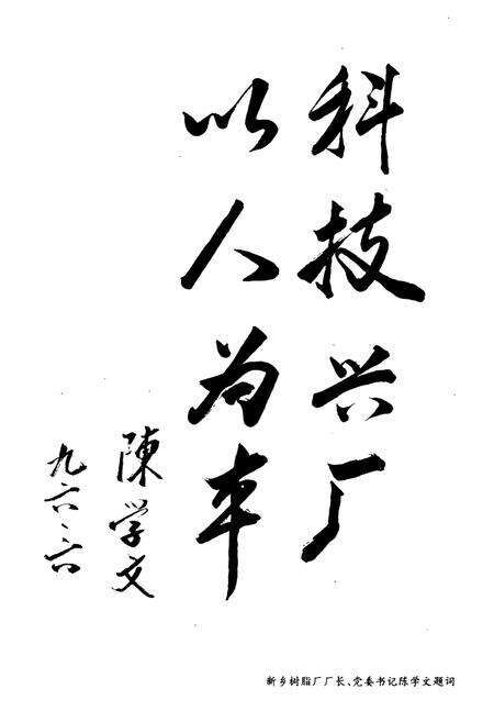 《新乡树脂厂志(1966-1995)》.pdf电子版_河南省志预览图3