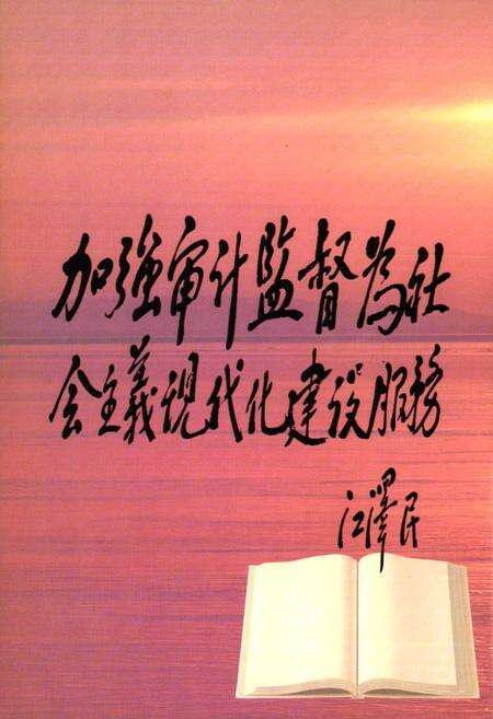 《漯河市审计志(1986-2007)》.pdf电子版_河南省志预览图2