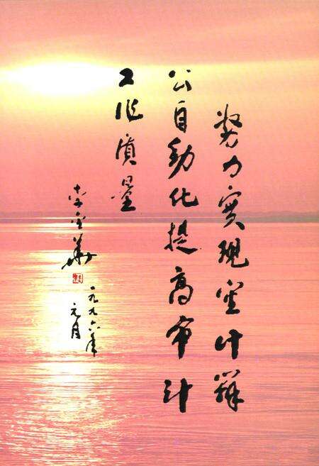 《漯河市审计志(1986-2007)》.pdf电子版_河南省志预览图3