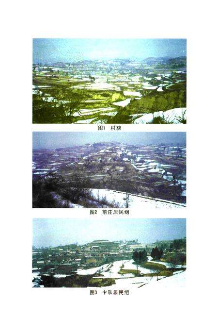 《探马庄村志》.pdf电子版_河南省志预览图3