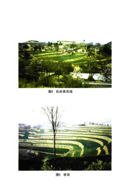 《探马庄村志》.pdf电子版_河南省志预览图4