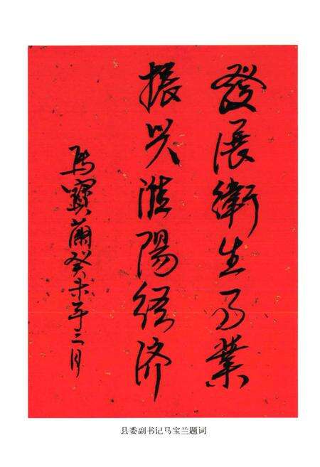 《淮阳县卫生志(1983-2002)》.pdf电子版_河南省志预览图5