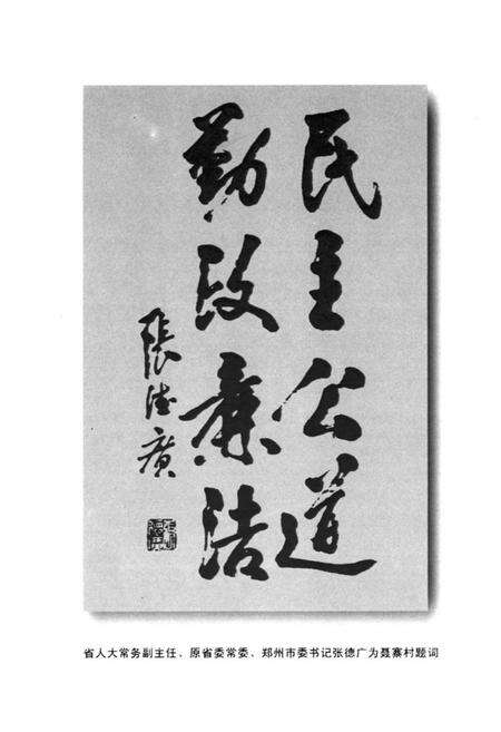 《聂寨村志》.pdf电子版_河南省志预览图3