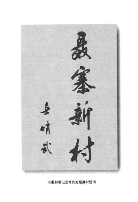 《聂寨村志》.pdf电子版_河南省志预览图4