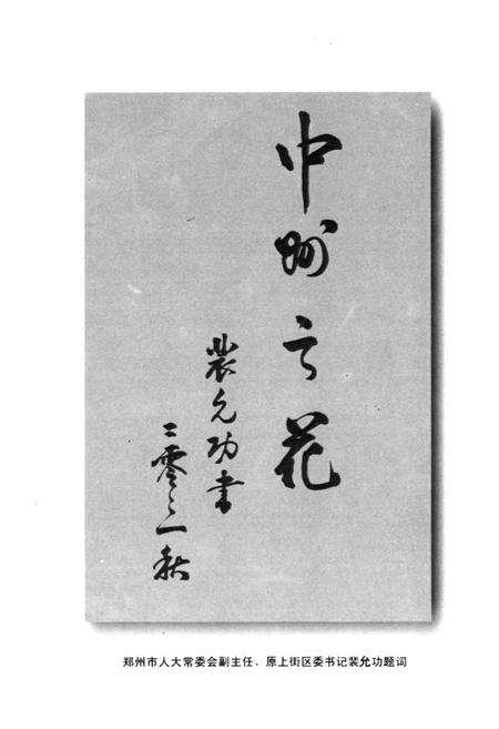 《聂寨村志》.pdf电子版_河南省志预览图5