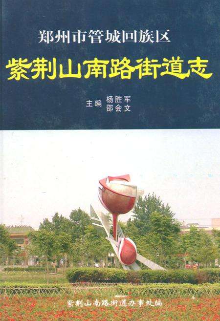 《紫荆山南路街道志》.pdf电子版_河南省志缩略图