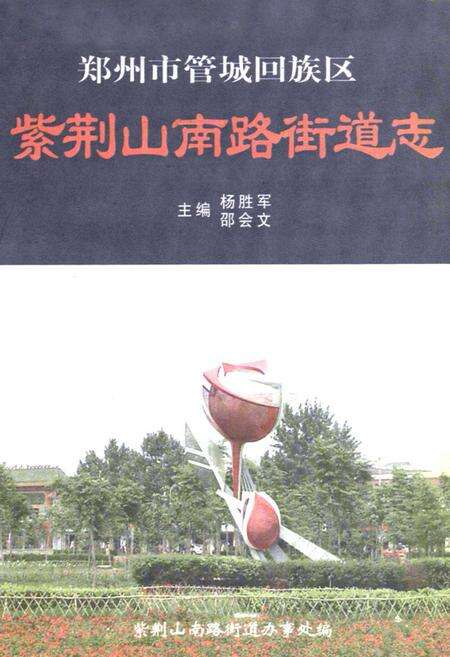 《紫荆山南路街道志》.pdf电子版_河南省志预览图1