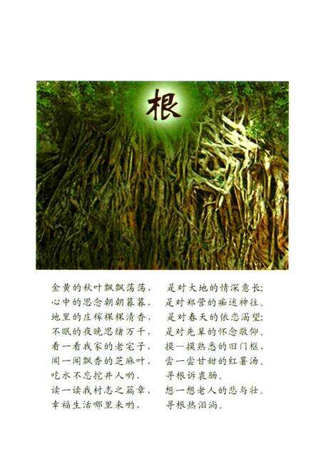 《郑营村志》.pdf电子版_河南省志预览图4