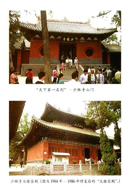 《登封市房地志(1950-1995)年》.pdf电子版_河南省志预览图5
