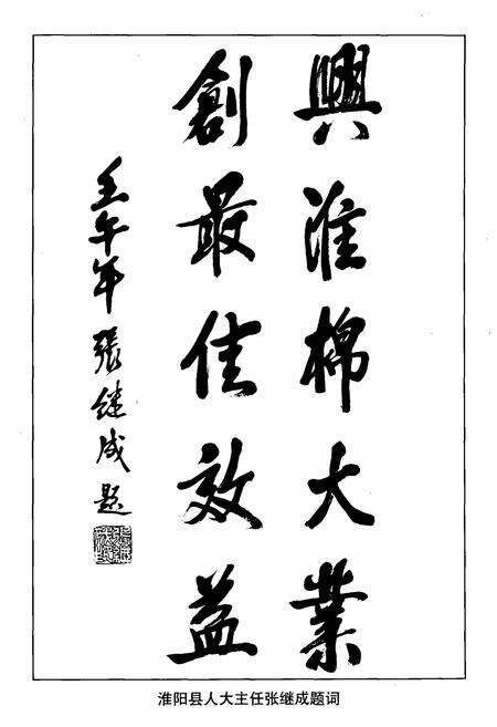 《淮阳棉纺织厂志(1968-2002)》.pdf电子版_河南省志预览图3