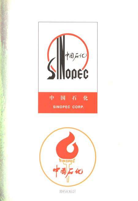 《中国石油化工股份有限公司河南洛阳孟津石油分公司石油志(第二部)》.pdf电子版_河南省志预览图5