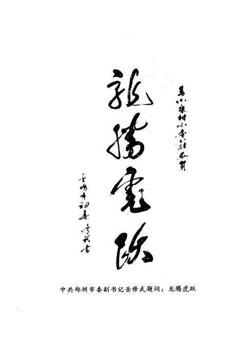 《小李庄村志》.pdf电子版_河南省志预览图3