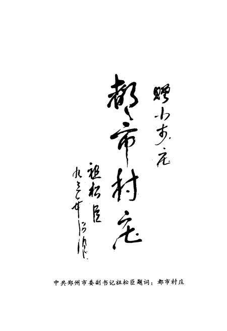 《小李庄村志》.pdf电子版_河南省志预览图4