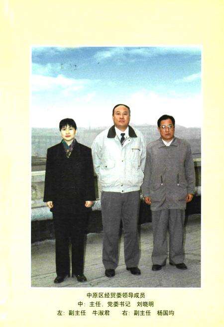 《郑州市中原区工业志(1948-1996)》.pdf电子版_河南省志预览图4