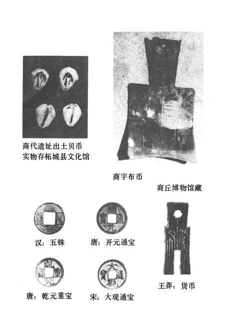 《商丘市金融志》.pdf电子版_河南省志预览图3