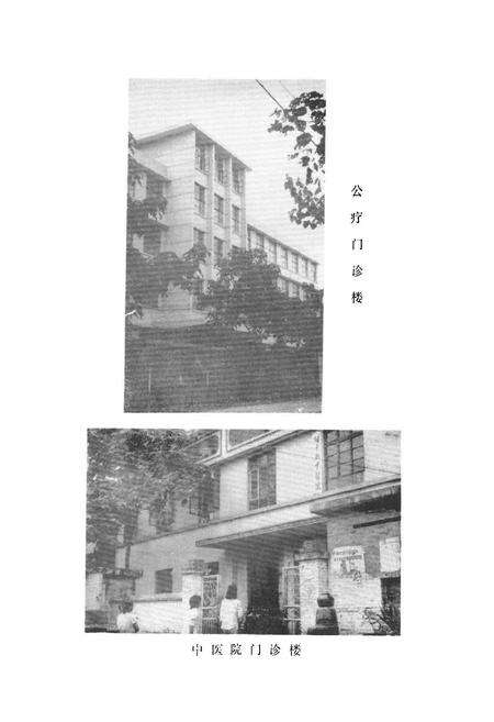 《镇平县卫生志》.pdf电子版_河南省志预览图4