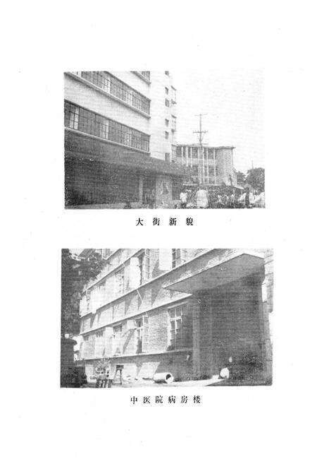 《镇平县卫生志》.pdf电子版_河南省志预览图5