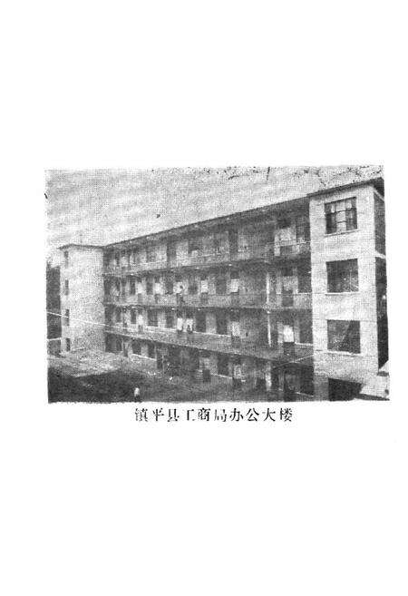《镇平县工商志》.pdf电子版_河南省志预览图3