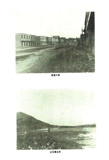 《湖阳镇志》.pdf电子版_河南省志预览图3