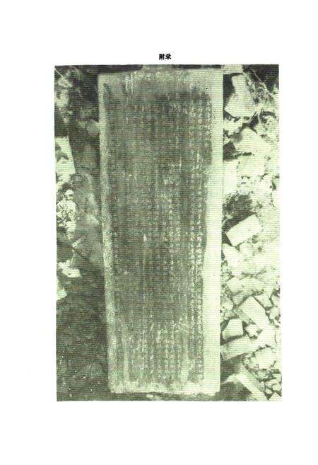 《湖阳镇志》.pdf电子版_河南省志预览图5