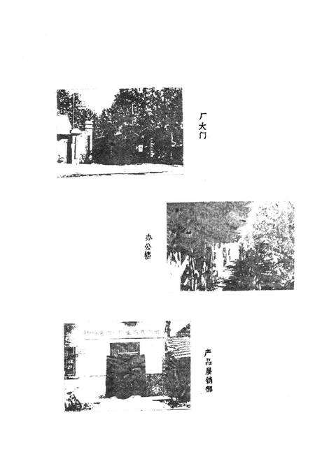 《郑州市色织一厂志(1949-1985)》.pdf电子版_河南省志预览图5