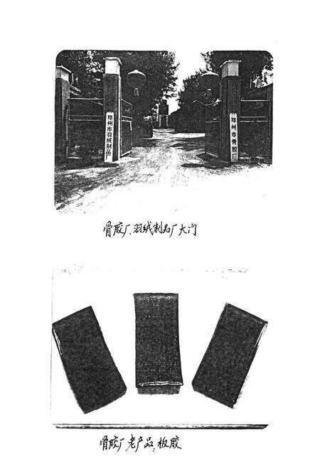 《郑州市二七区工业志》.pdf电子版_河南省志预览图5