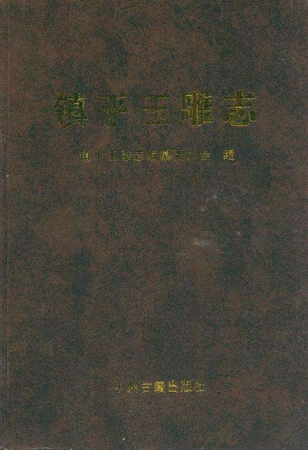 《镇平玉雕志》.pdf电子版_河南省志缩略图