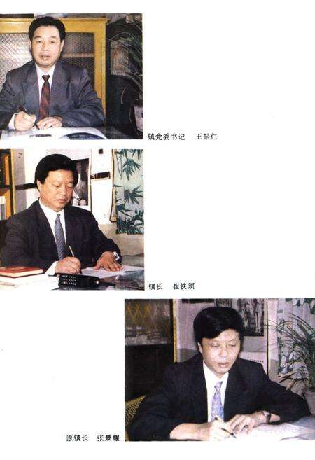 《大冶镇志》.pdf电子版_河南省志预览图5