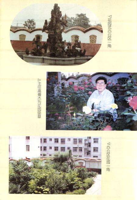 《周口市城市信用社志》.pdf电子版_河南省志预览图5