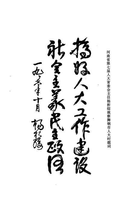 《《舞钢市人大志》》.pdf电子版_河南省志预览图3