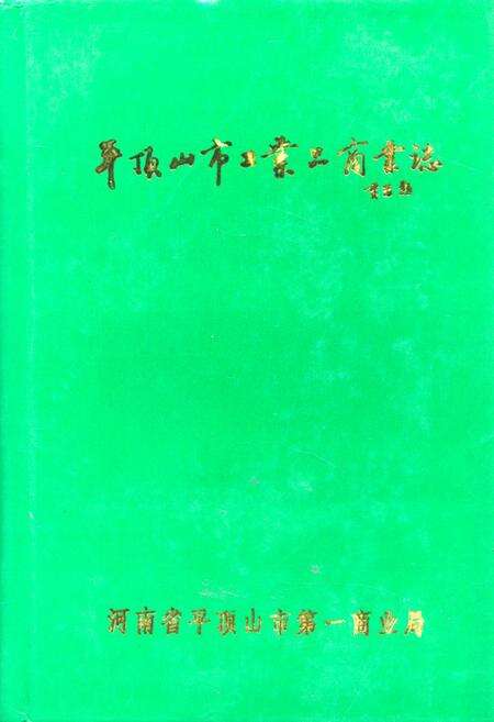 《《平顶山市工业品商业志》(1955-1990)》.pdf电子版_河南省志缩略图