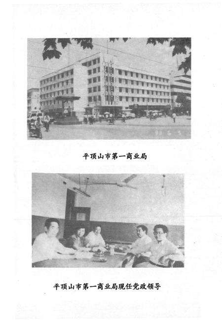 《《平顶山市工业品商业志》(1955-1990)》.pdf电子版_河南省志预览图5
