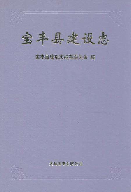 《宝丰县建设志》.pdf电子版_河南省志缩略图