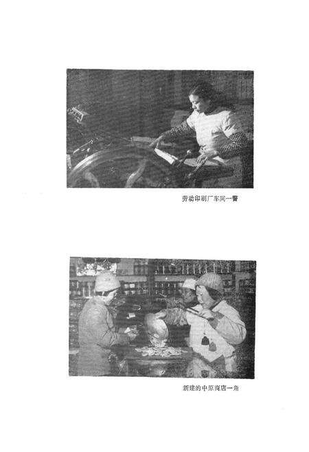 《大学路街道志(1958-1985)》.pdf电子版_河南省志预览图5