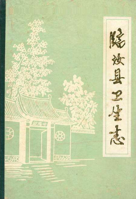 《临汝县卫生志》.pdf电子版_河南省志缩略图