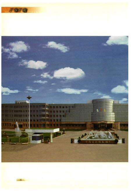 《《新郑卷烟厂志》(1990-2009)》.pdf电子版_河南省志预览图2