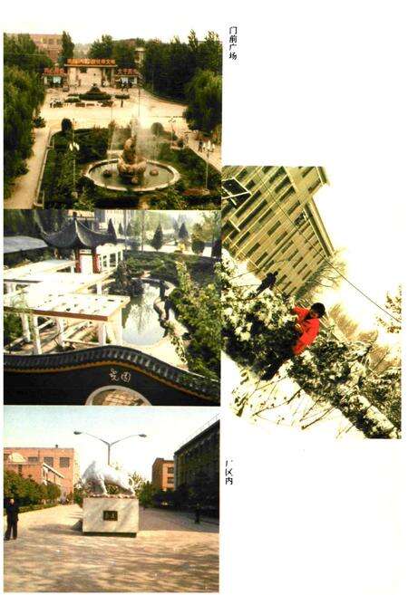 《洛阳机车工厂志(1965-1985)》.pdf电子版_河南省志预览图5