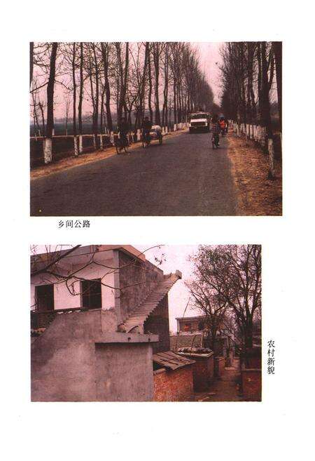 《环城乡志》.pdf电子版_河南省志预览图5