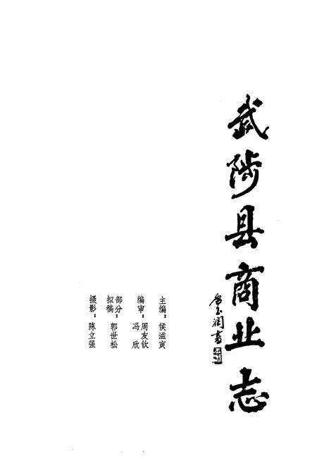 《武陟县商业志》.pdf电子版_河南省志预览图1