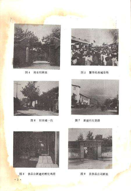 《武陟县商业志》.pdf电子版_河南省志预览图5