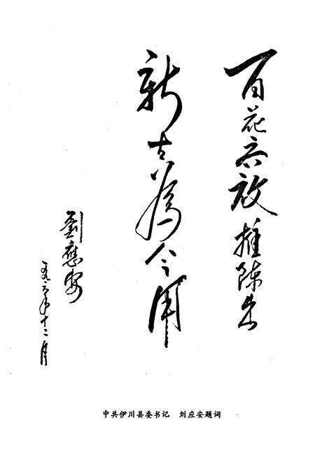 《伊川县戏曲志》.pdf电子版_河南省志预览图3