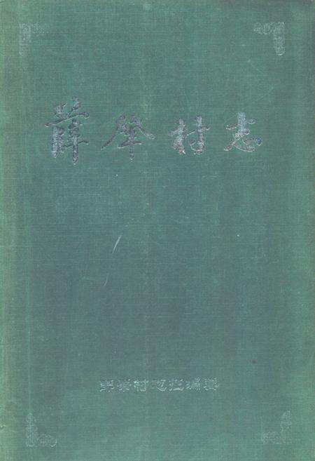 《《薛肇村志》》.pdf电子版_河南省志缩略图