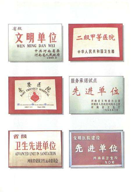 《《温县人民医院志》》.pdf电子版_河南省志预览图2