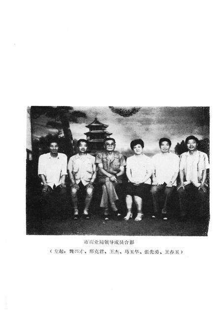 《商丘市商业志》.pdf电子版_河南省志预览图4