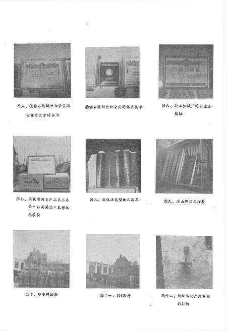 《邓县二轻工业志》.pdf电子版_河南省志预览图5