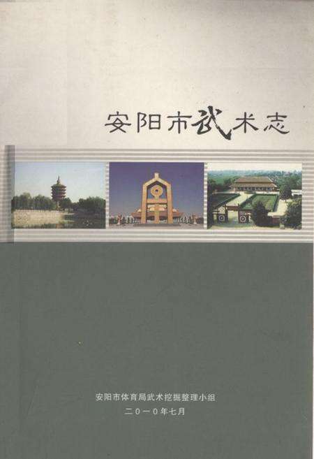 《安阳市武术志》.pdf电子版_河南省志缩略图